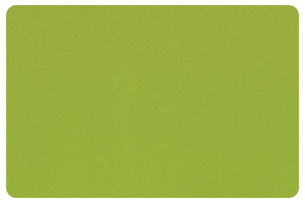 Light Green Silicon Non Stick Pan Polymer Coating丨PL.9407