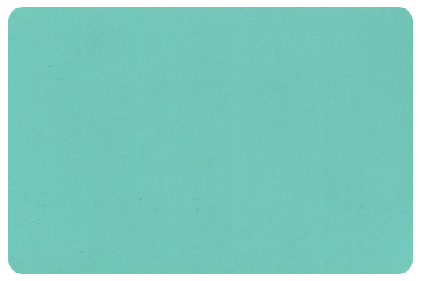 Light Blue Non Stick Coating Made of Silicone丨PL.9420